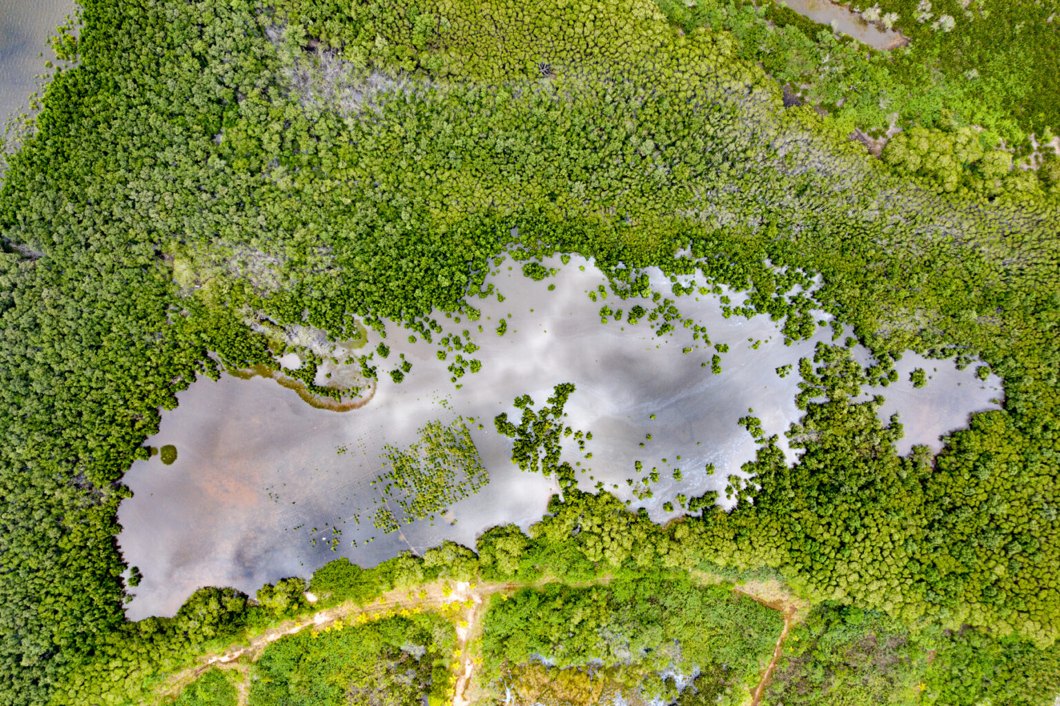 Brasilien-Drohne-1-von-1-2