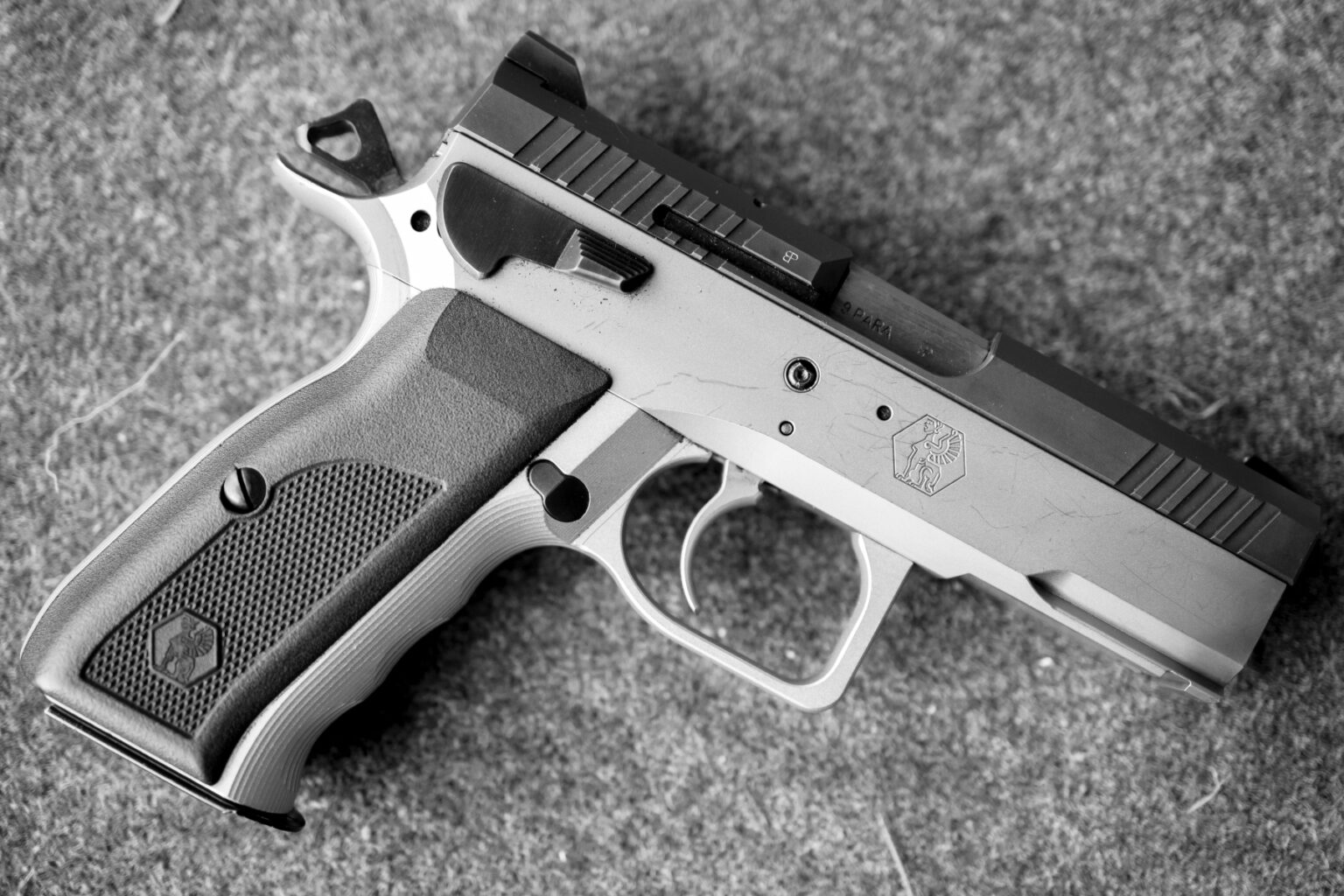 Melanie-Wipf-14-von-14